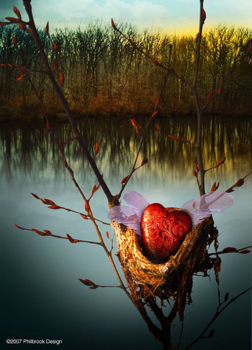 philbrook heart in nest